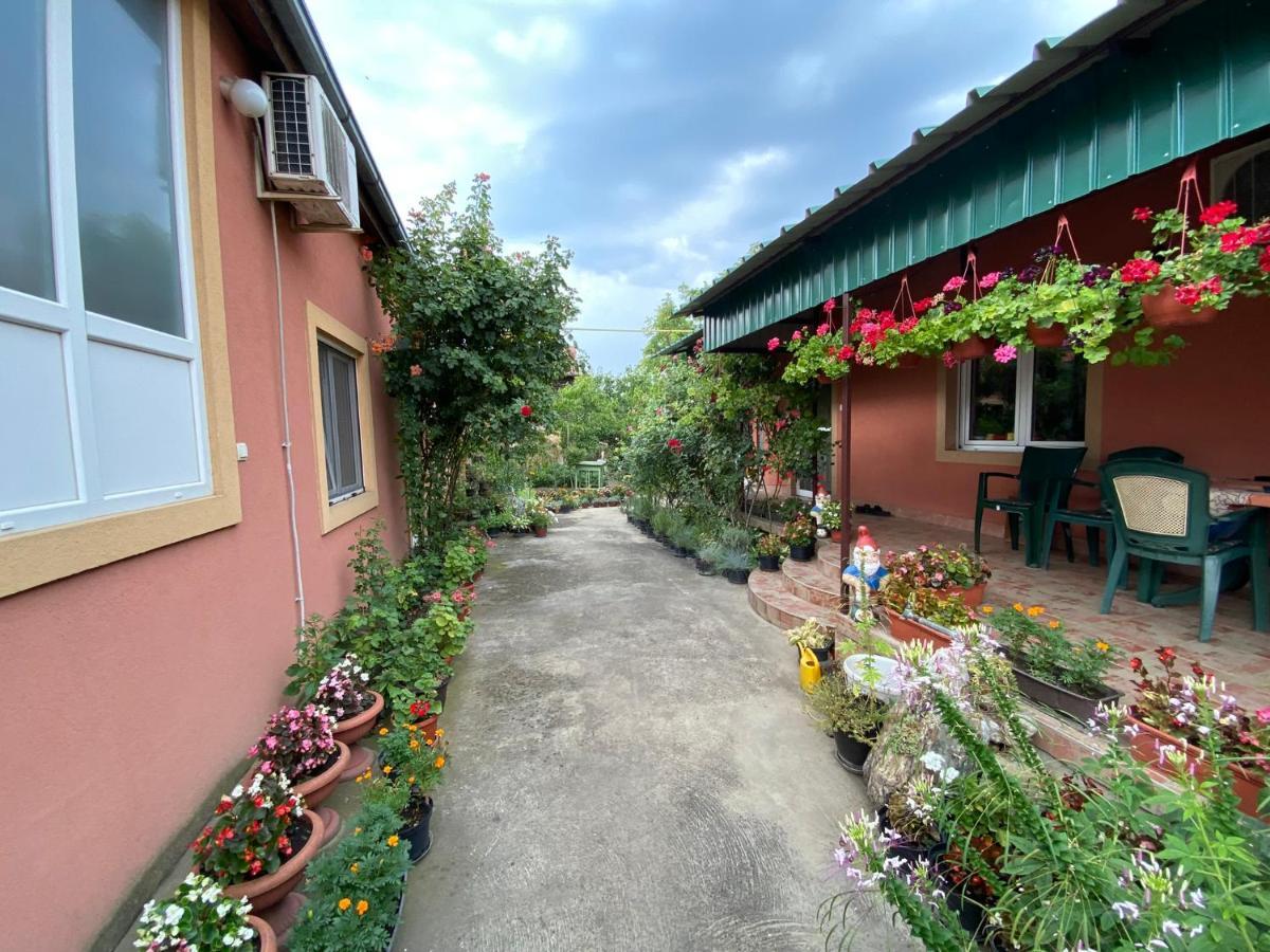 Bed and Breakfast Sud ,,Antal I Olga,, Skorenovac Exterior foto