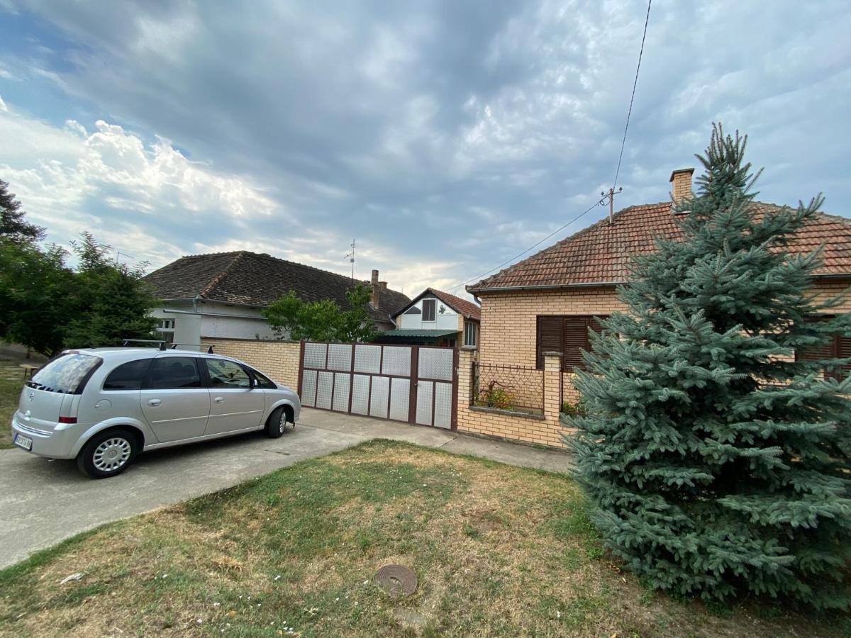Bed and Breakfast Sud ,,Antal I Olga,, Skorenovac Exterior foto