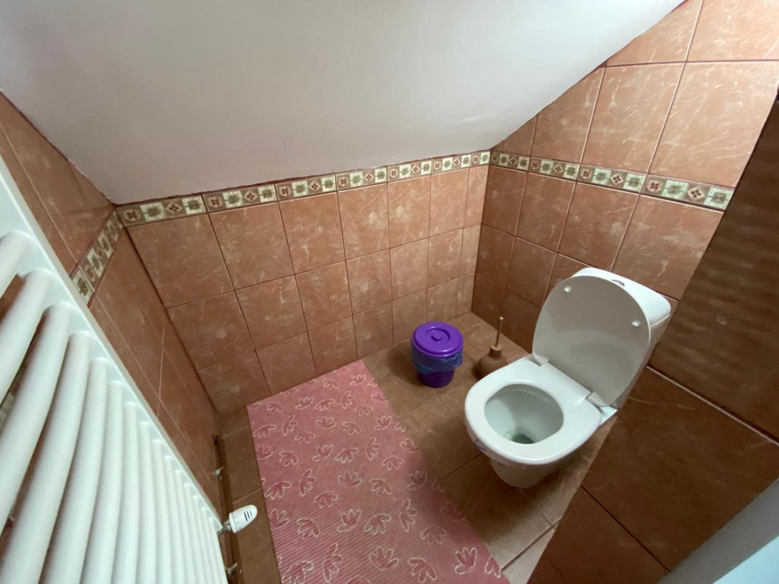 Bed and Breakfast Sud ,,Antal I Olga,, Skorenovac Zimmer foto